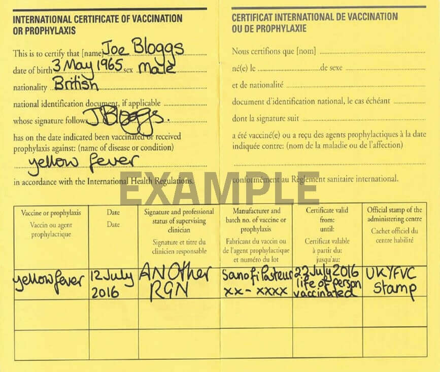 Yellow Fever Card Example